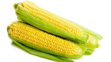 Manfaat Jagung yang Bermacam Macam